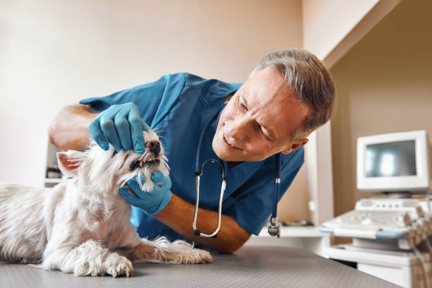 Best Mobile Emergency Dentist in Park Hills, KY